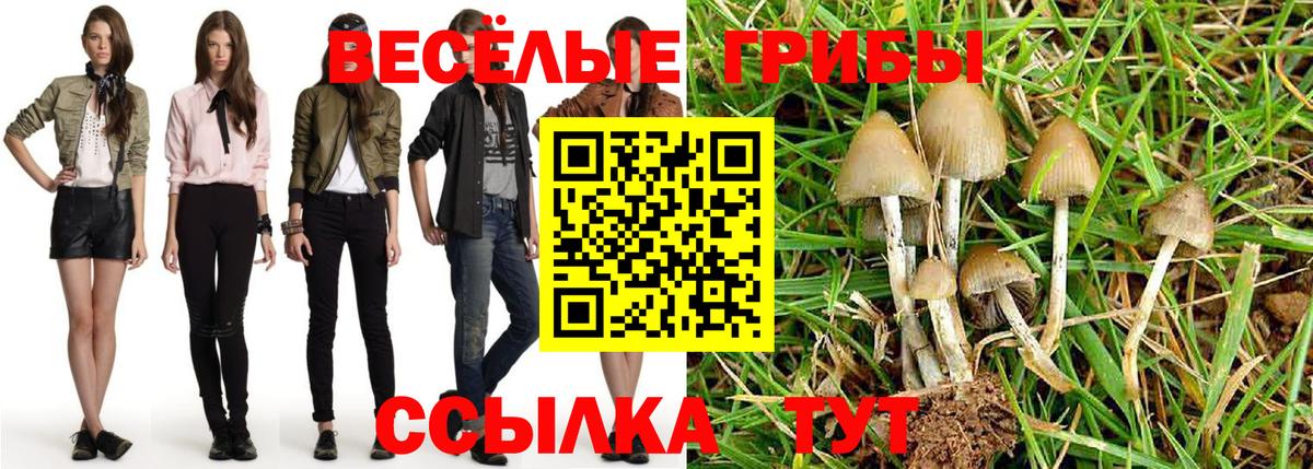 наркошоп  Вход с VPN  Комсомольск-на-Амуре  Галлюциногенные грибы Magic Shrooms 